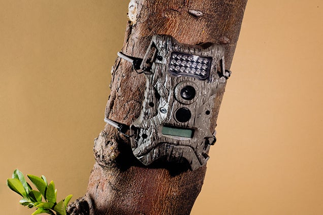 trail camera for home security