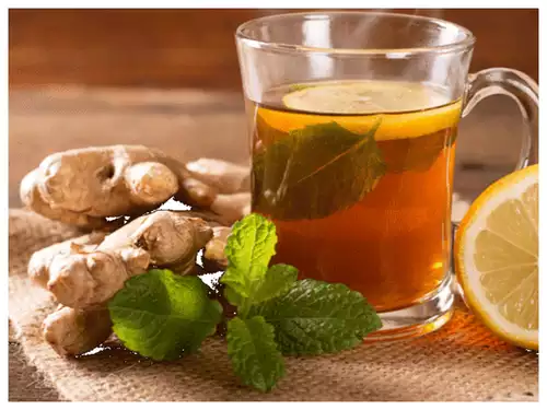 Ginger Is Important For Immune System