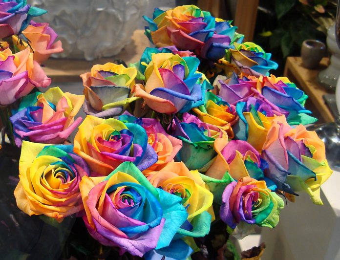 colors of Roses