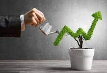 Ten Things to Consider Before You Make Investment Decisions investment