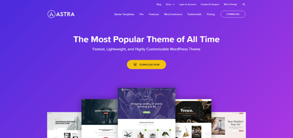 astra wordpress theme