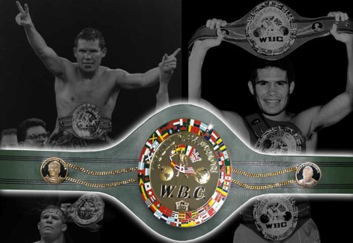 Championship Belts in Combat Sports