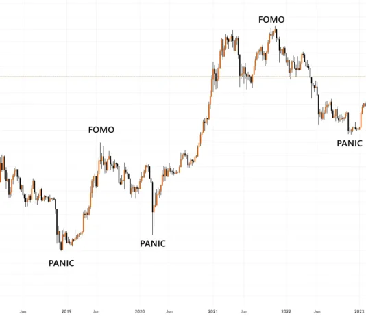 The Psychology of Crypto Investing: Why Emotions Matter in the Altcoin Market Crypto Investing